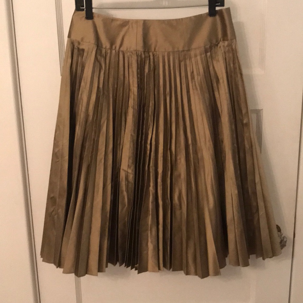 Holiday Pleated skirt
